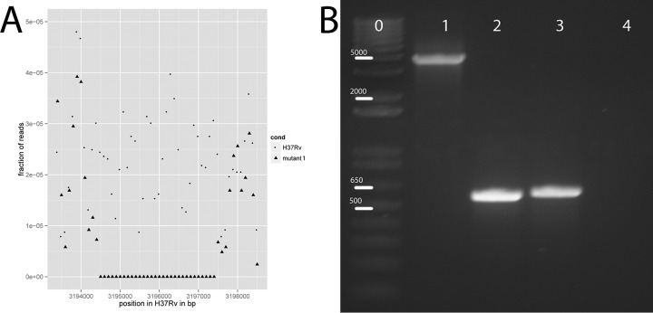 FIG 1