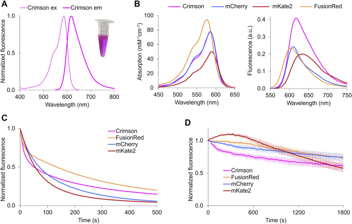 FIGURE 1