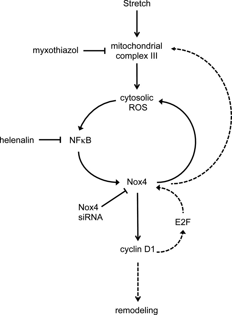 Fig. 6.