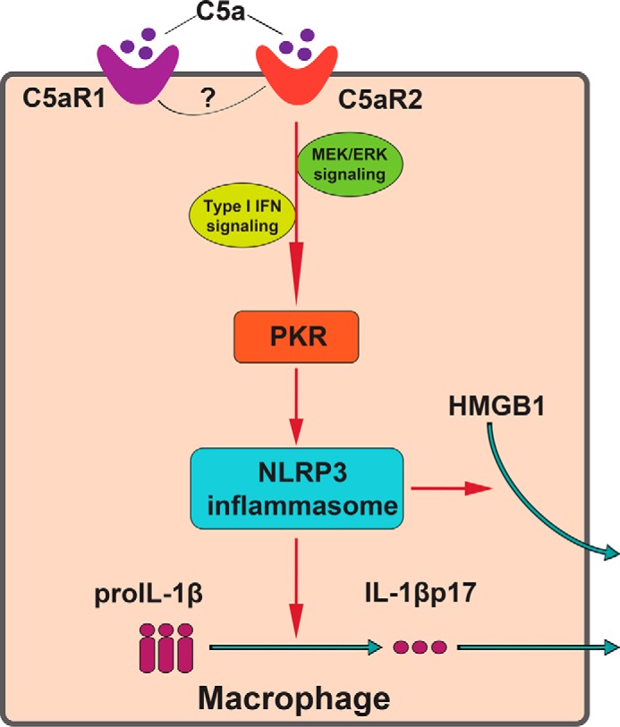 Figure 7.