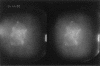 Figure  1