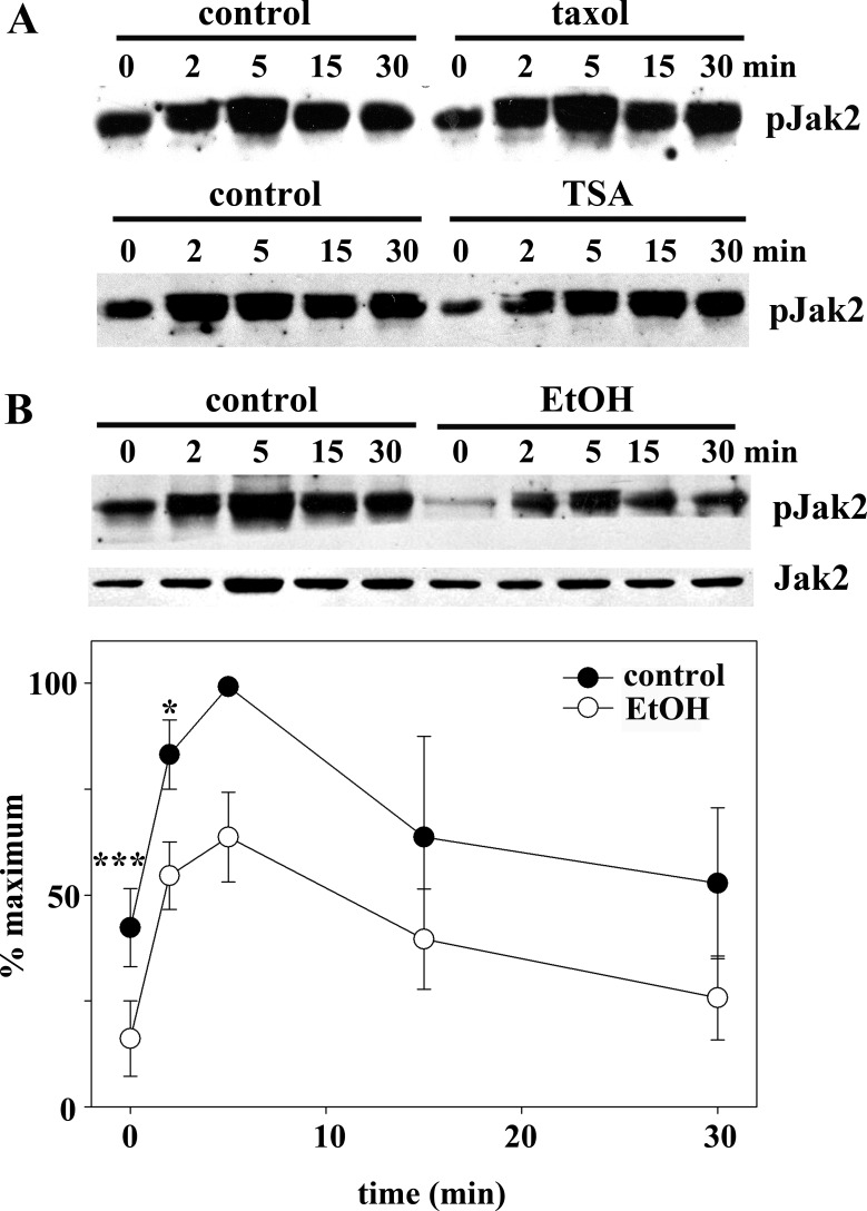 Fig. 11.