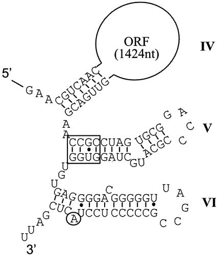 FIG. 7.