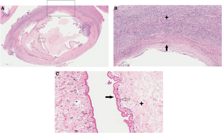 Figure 2.