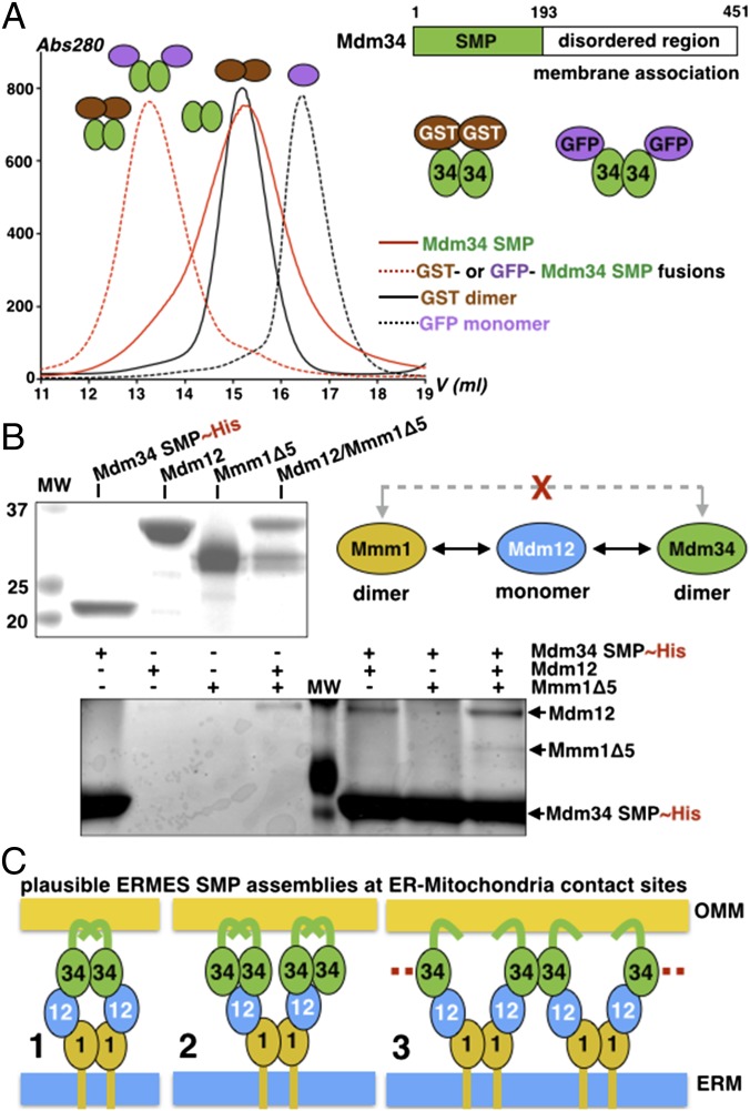 Fig. 4.