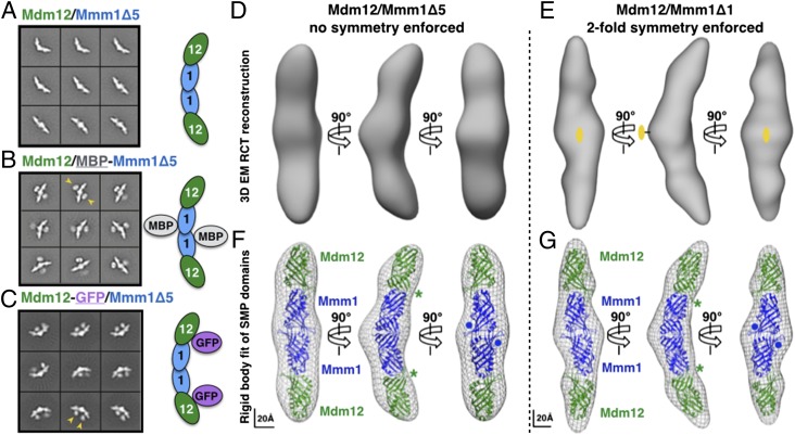 Fig. 7.