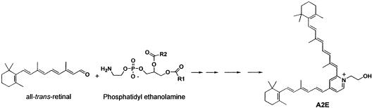 Scheme 2.