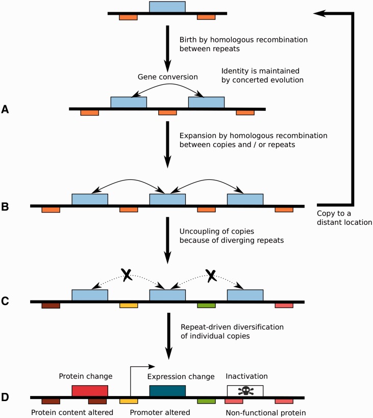 Fig. 6.