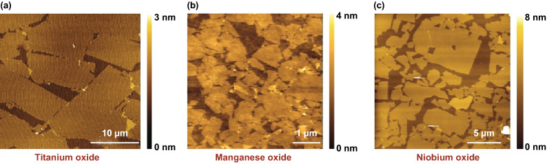 Fig. 12