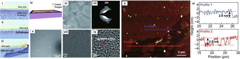 Fig. 9