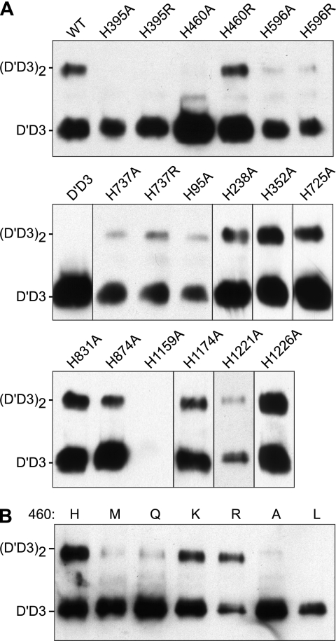 FIGURE 3.