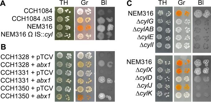 FIG 3