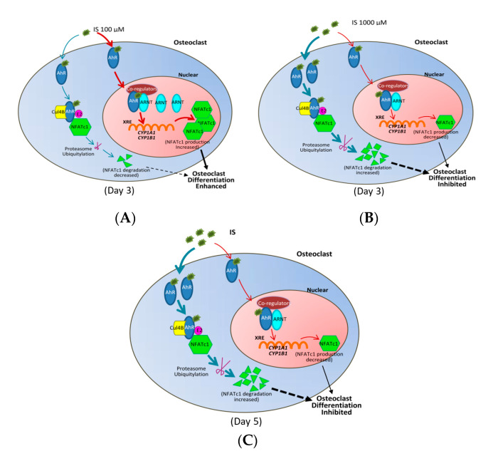 Figure 6