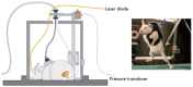 Fig. 3.