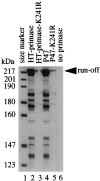 FIG. 8