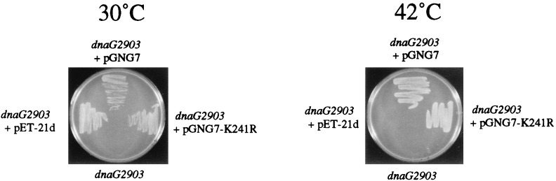 FIG. 7