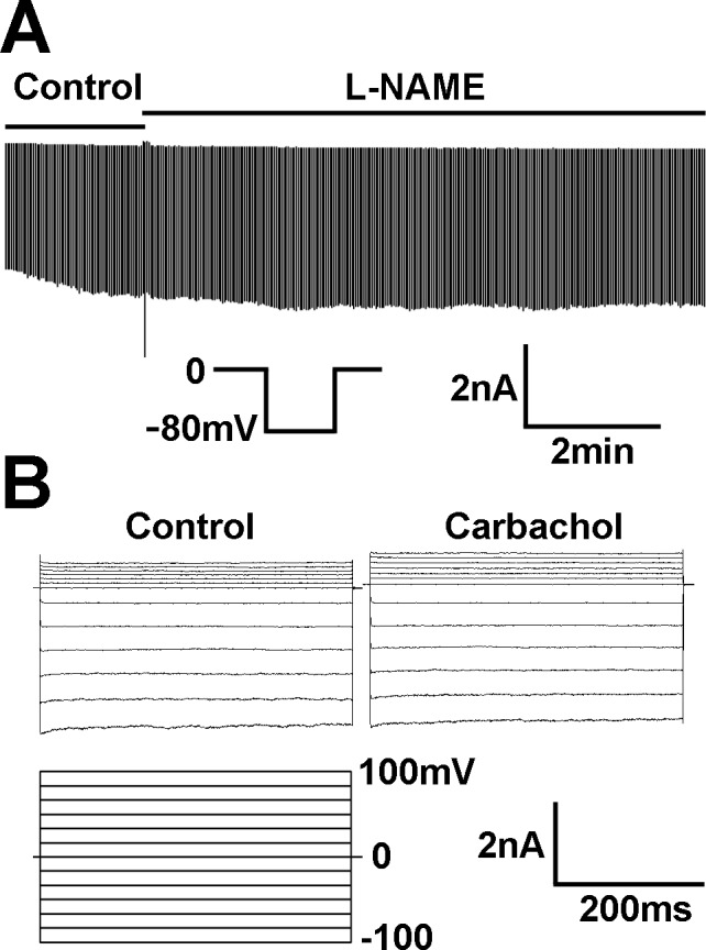 Fig 10