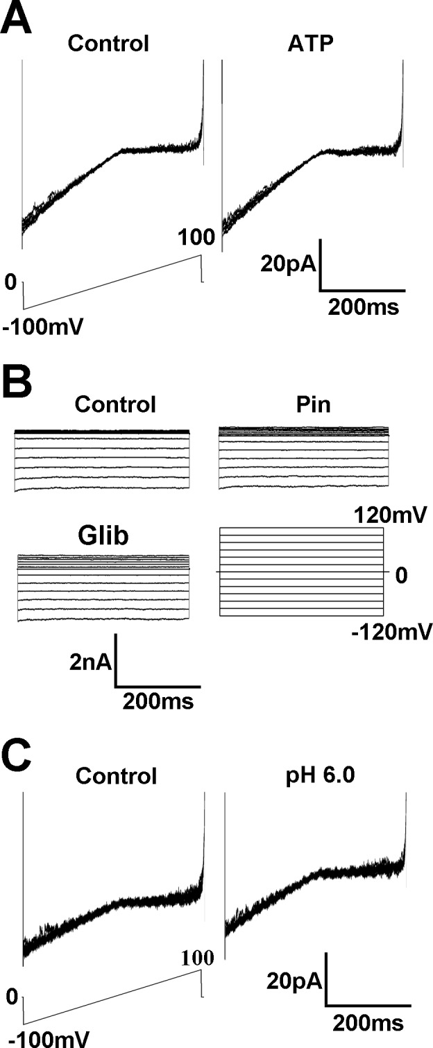 Fig 5