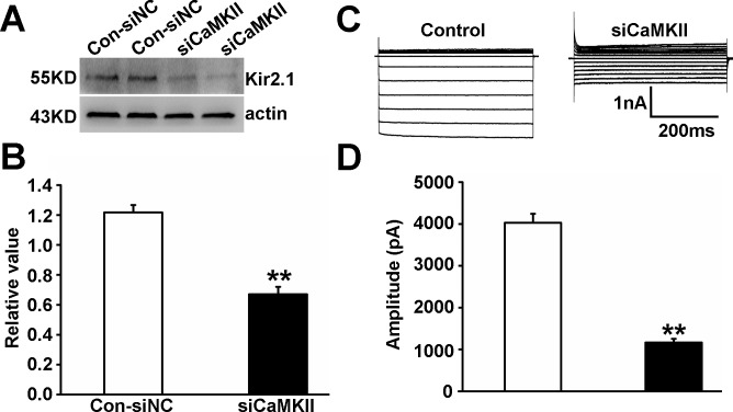 Fig 9