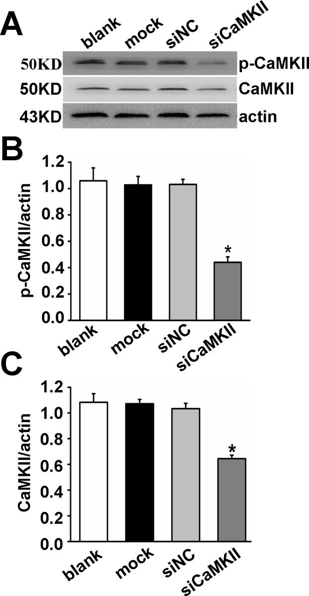 Fig 8