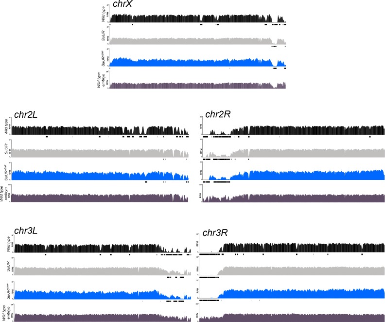 Figure 1—figure supplement 1.