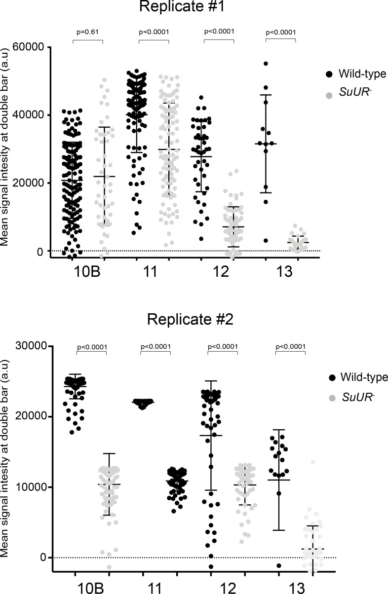 Figure 6—figure supplement 1.