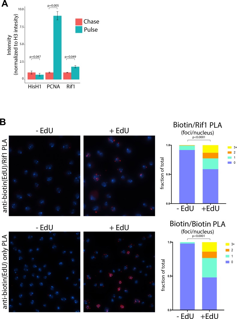 Figure 6—figure supplement 2.