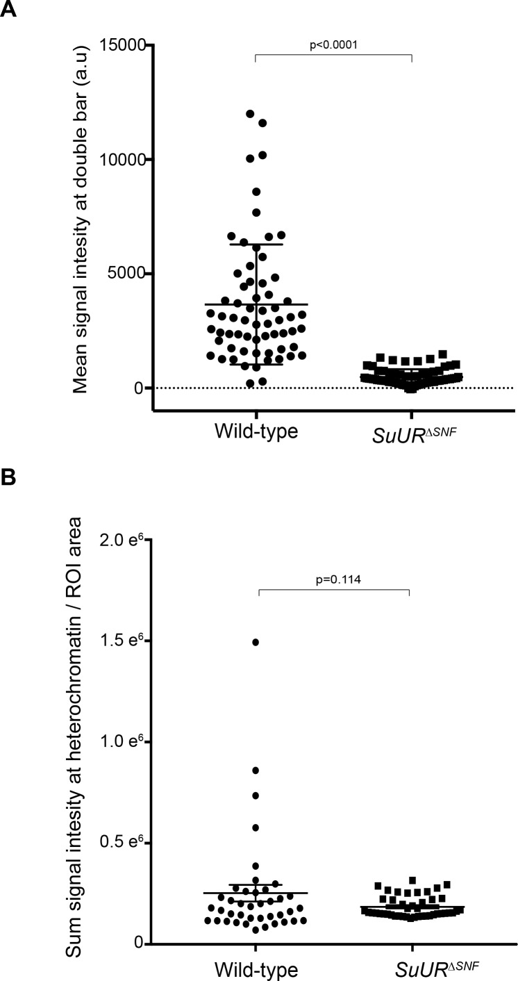 Figure 1—figure supplement 2.