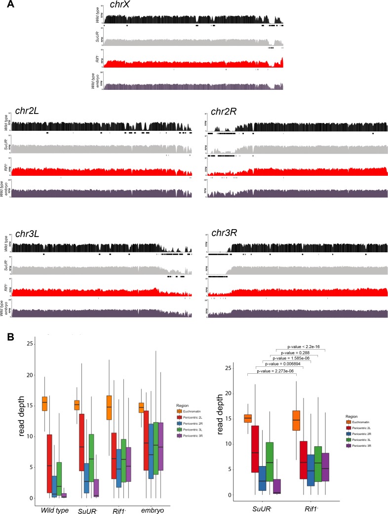 Figure 3—figure supplement 1.