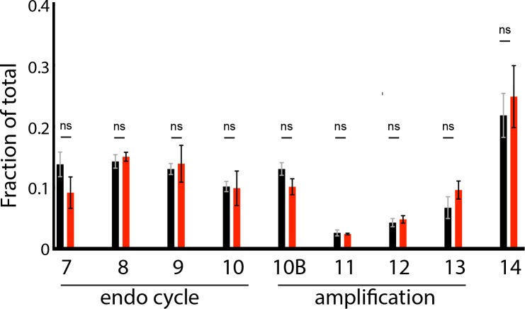 Figure 4—figure supplement 1.