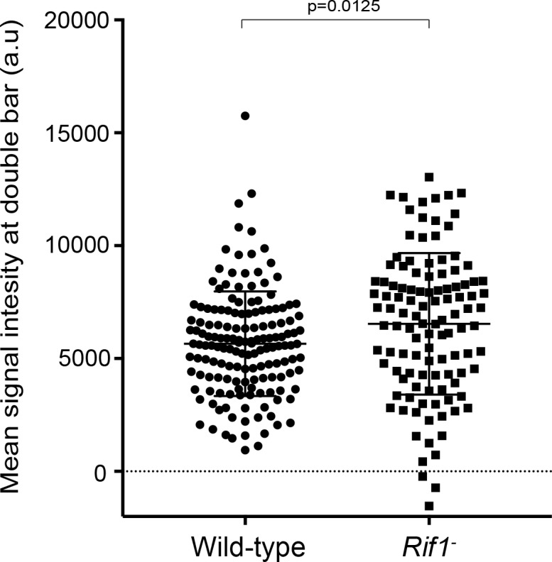 Figure 5—figure supplement 1.