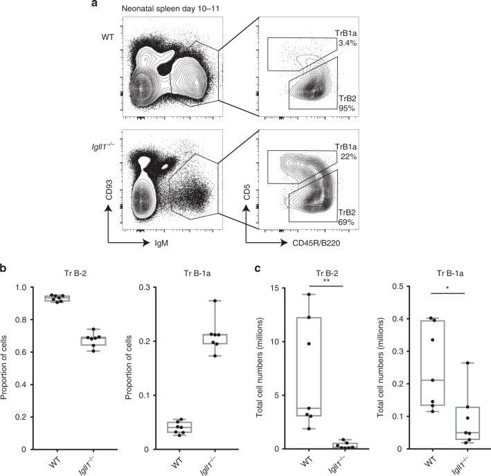 Fig. 5