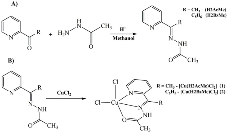 Scheme 1