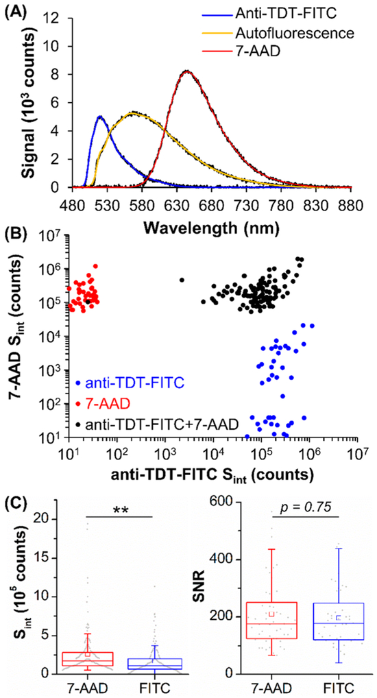 Figure 7.