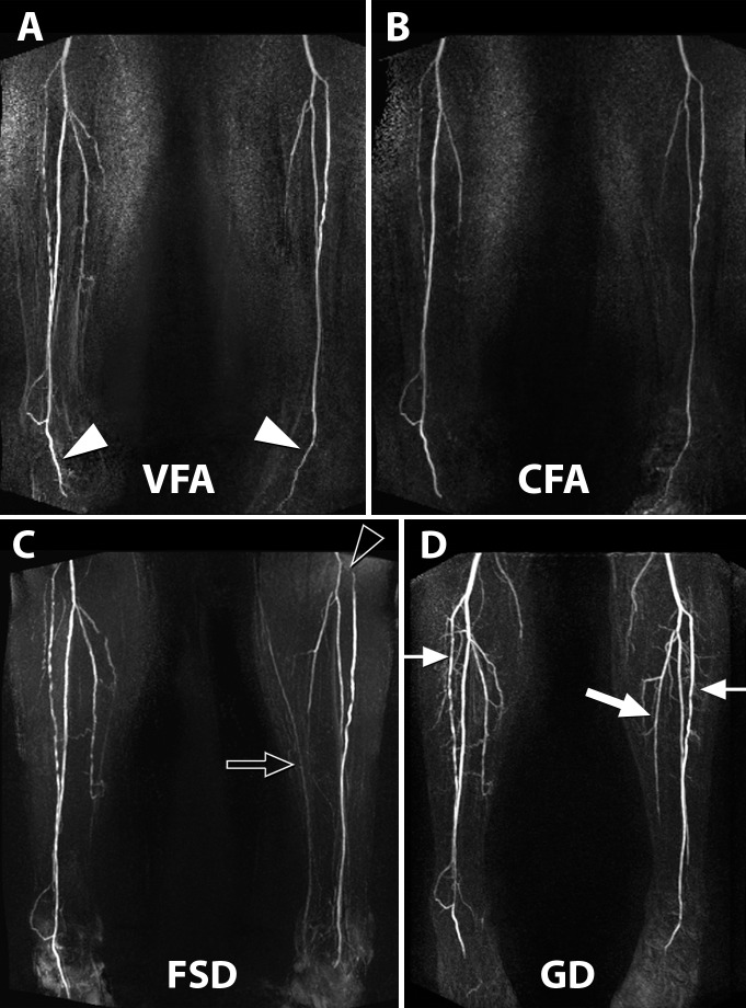 Figure 3: