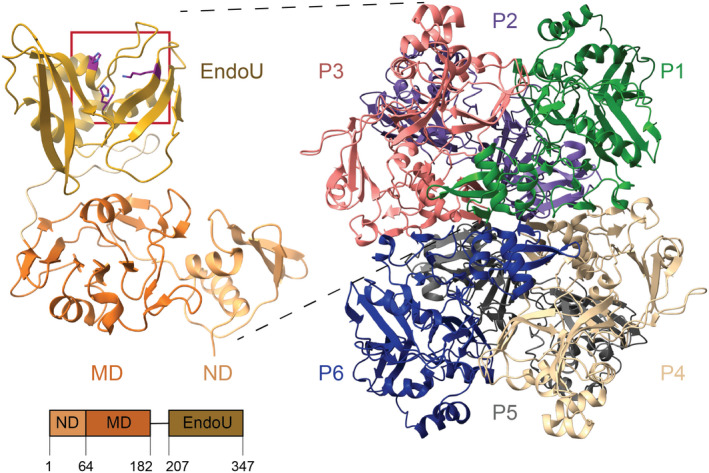 Fig. 4