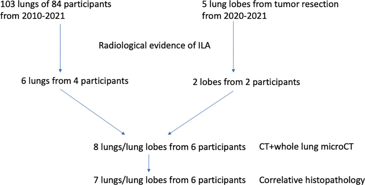 Flowchart of participant inclusion. ILA = interstitial lung abnormality.