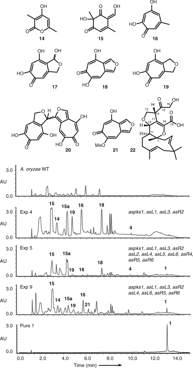 Fig. 4