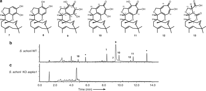 Fig. 2