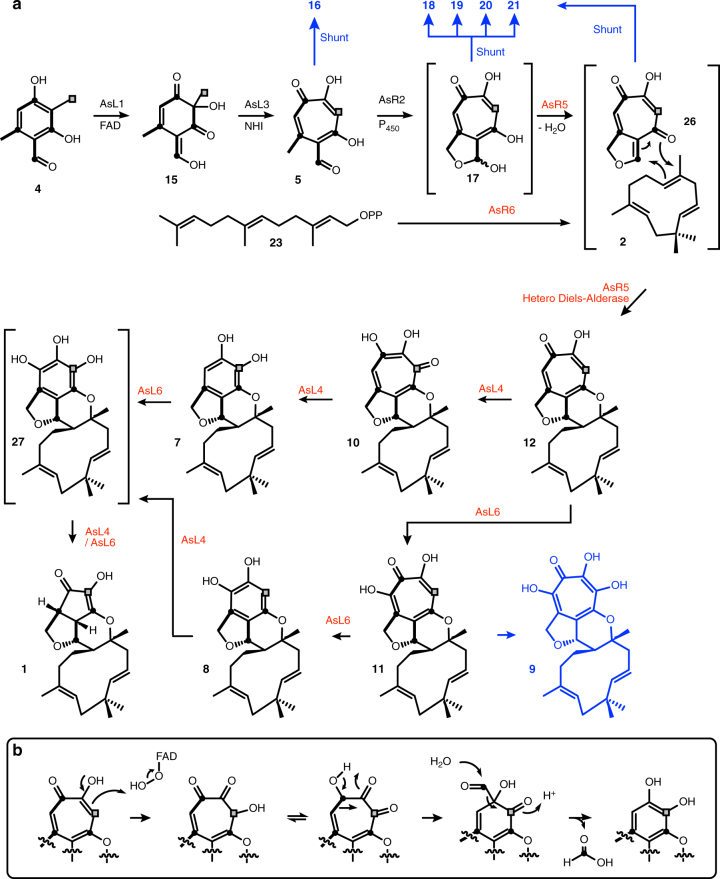 Fig. 7