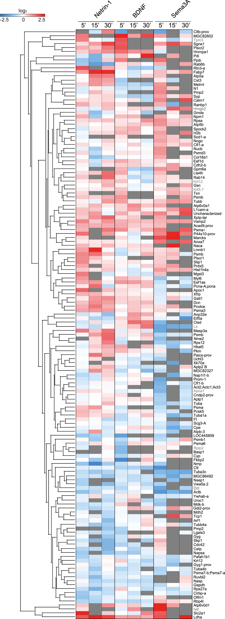 Figure 2