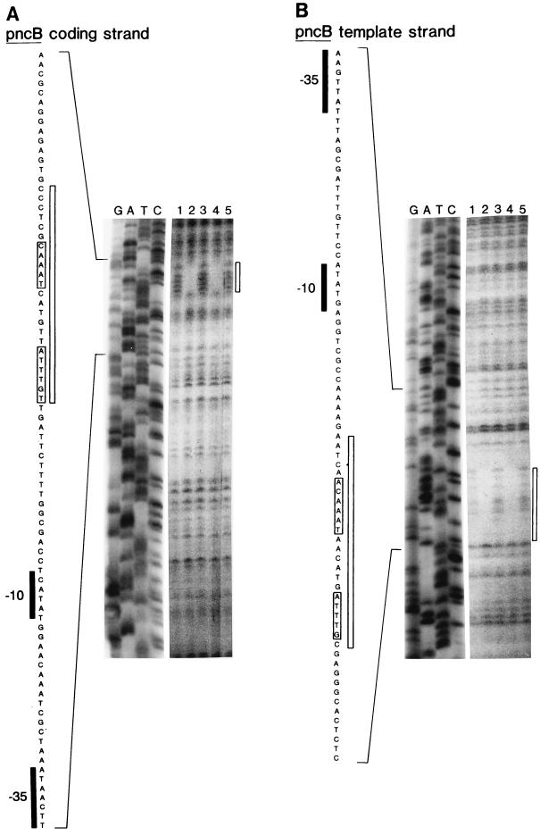 FIG. 5