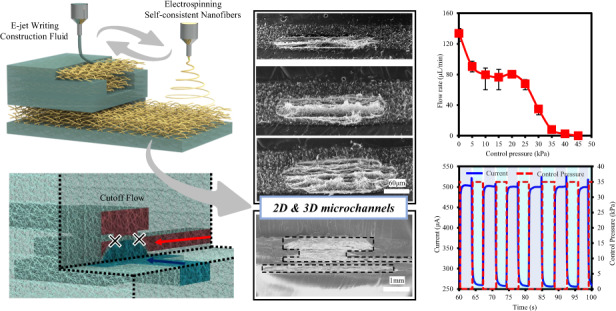 graphic file with name 41378_2022_439_Figa_HTML.jpg