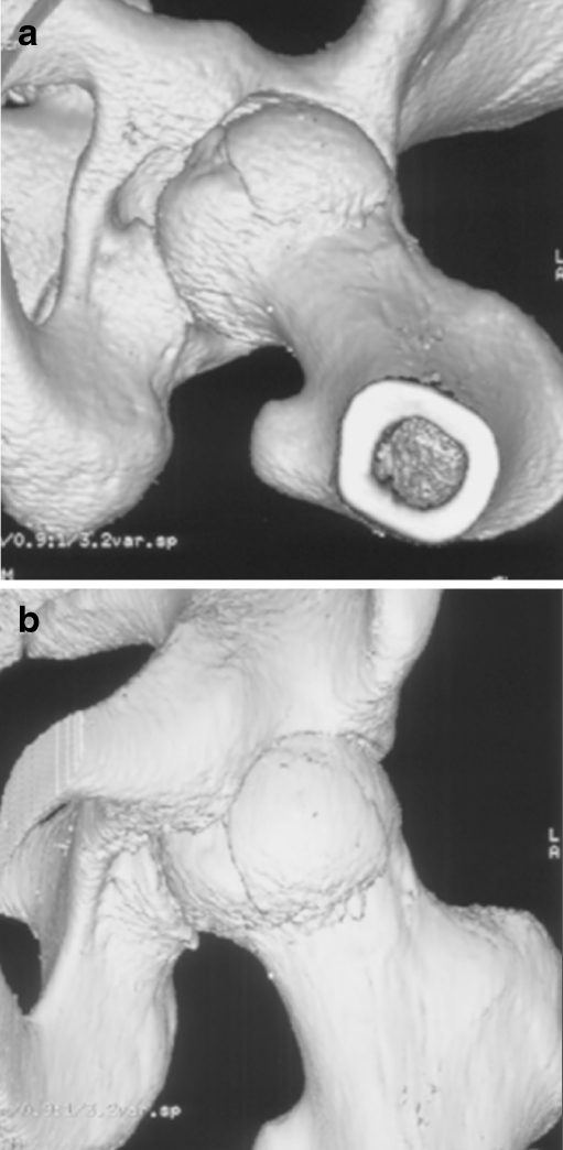 Fig. 8