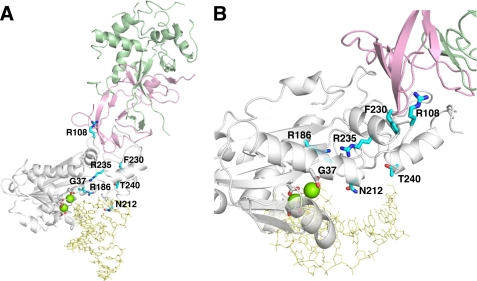 FIGURE 1.