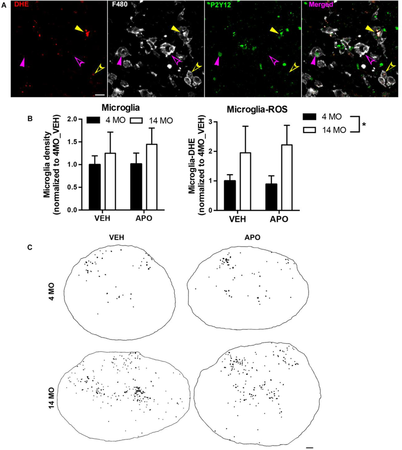 Figure 4.