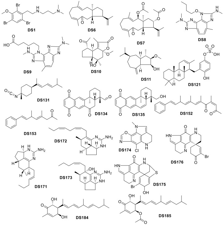 Figure 21