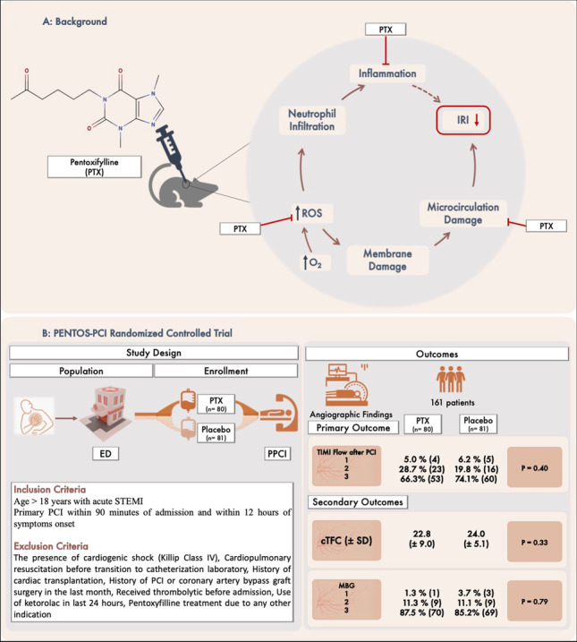 graphic file with name 210_2022_2368_Figa_HTML.jpg