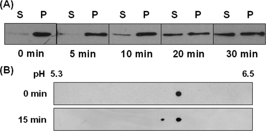 FIGURE 9.