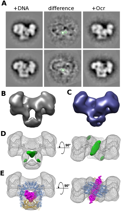 Figure 4.